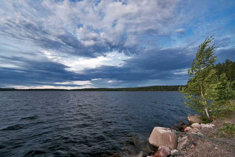 saimaa-lake-saimaa-is-one-of-the-187888-lakes-of-finland-which-are-larger-than-500-m2