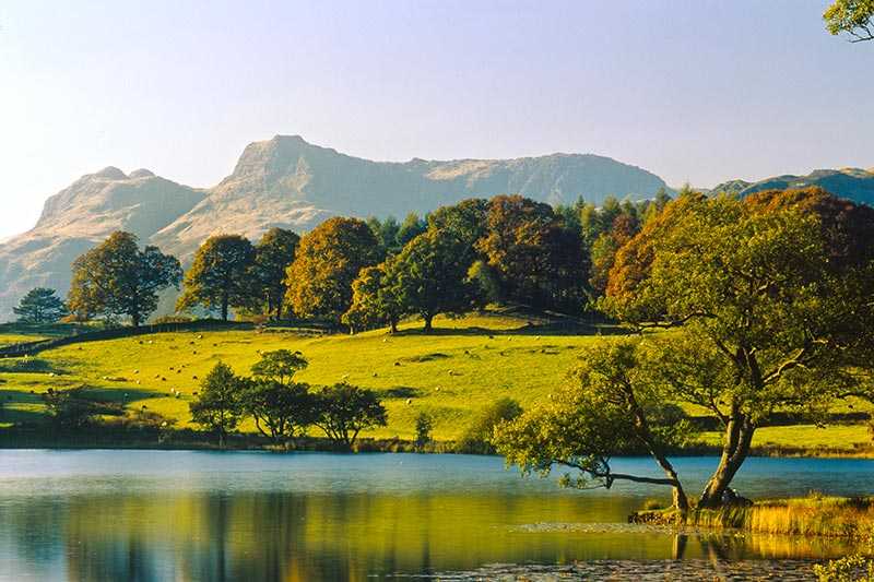 loughrigg-tarn-a-late-evening-view-of-loughrigg-tarn-with-the-misty-langdale-pikes-in-the-distance