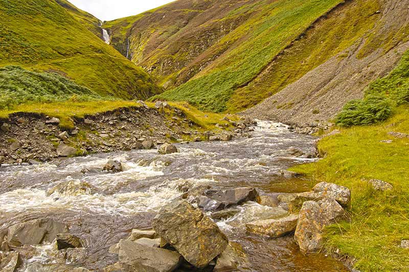 Grey Mare’s Tail | Natureflip