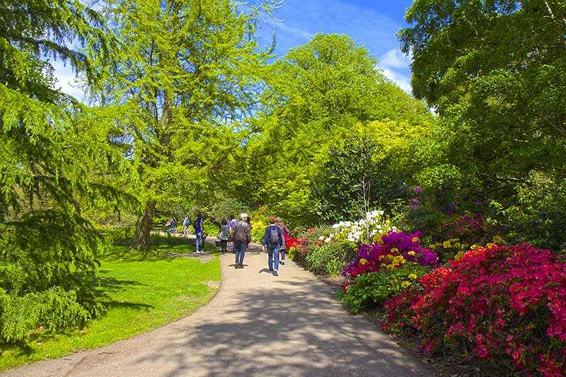 greenwich-park-view-of-flower-garden-in-greenwich-park