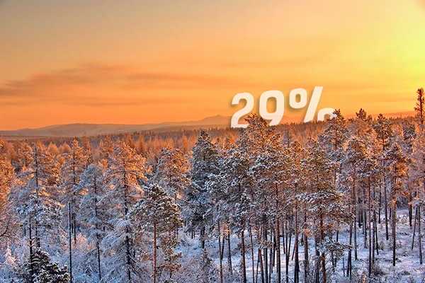 The Taiga and The 29%