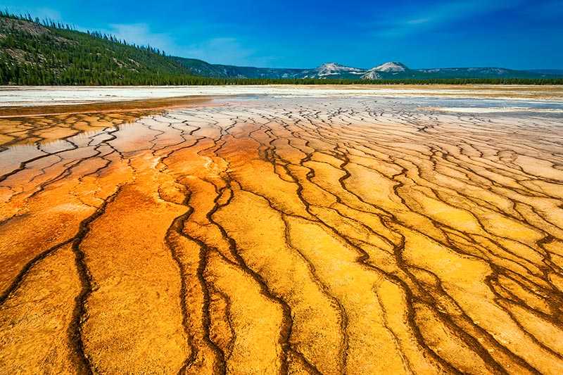 yellowstone-national-park-hot-spring-in-yellowstone-national-park