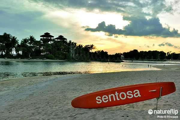 Discover the Sentosa Beaches