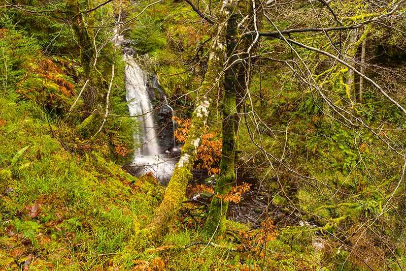 hindhope-linn-waterfall-hindhope-linn-waterfall-in-kielder-forest-northumberland