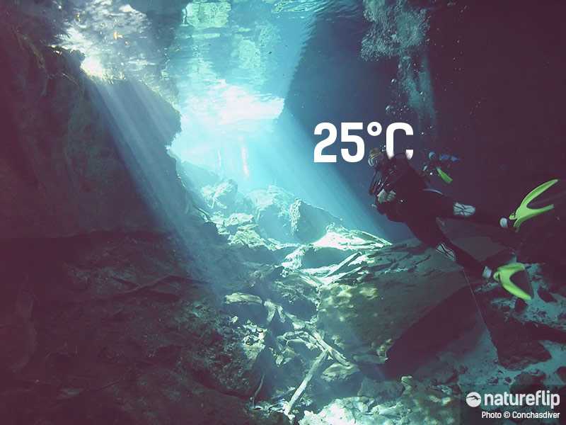 Most Mexican Cenotes Maintain A Constant Temperature Of 25° Celsius