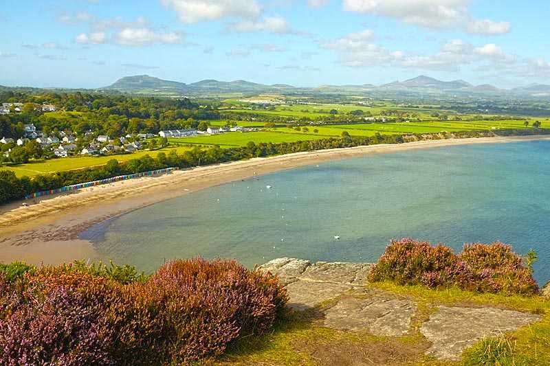 llanbedrog-beach-heather-on-rock-lead-to-a-seaside-view-of-the-curving-sandy-beach-and-village-of