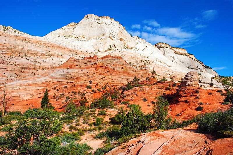 zion-national-park-high-sandstone-cliffs-make-zion-national-park-an-ideal-attraction-for-climbers