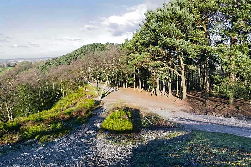 Lickey Hills Country Park