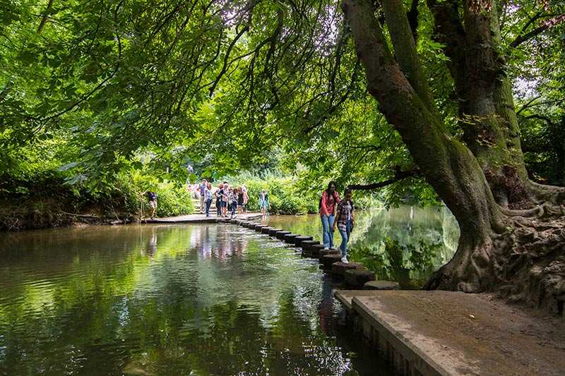 Walks in London - Box Hill and The Stepping Stones
