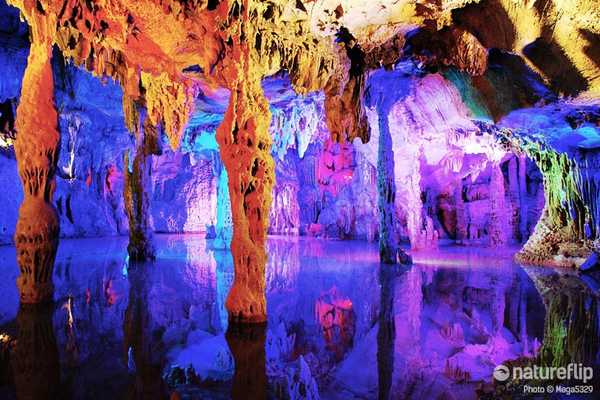 Discovering the Reed Flute Cave