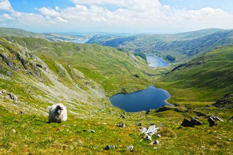 Mardale Valley