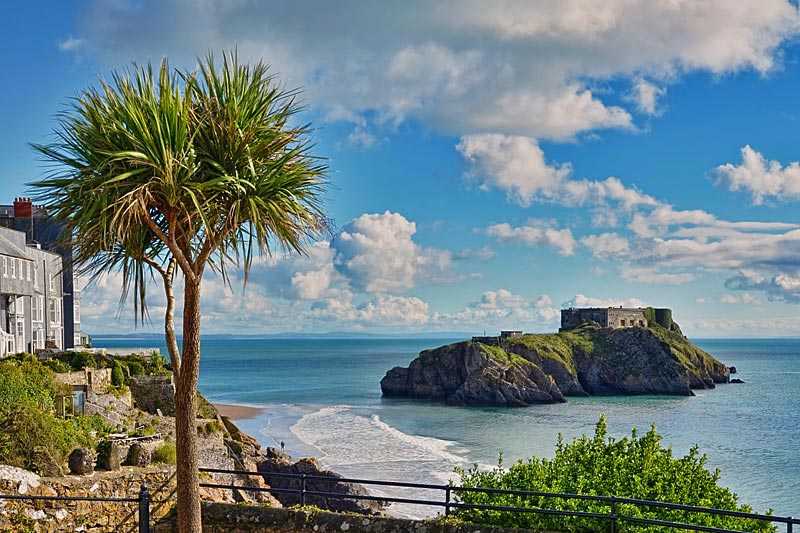 castle-beach-tenby-a-picturesque-and-verdant-ornamental-garden-planted-with-flowers-and-palm-trees