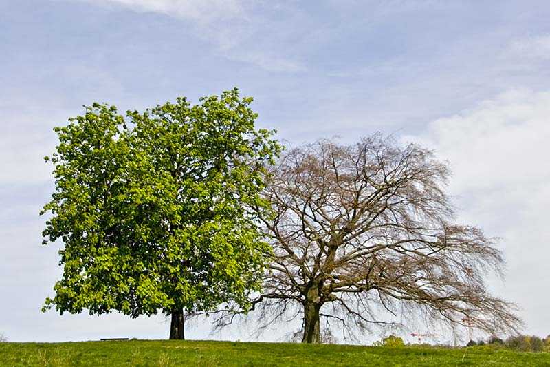 hampstead-heath-hampstead-heath-in-london