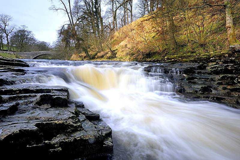 stainforth-force-stainforth-force_0