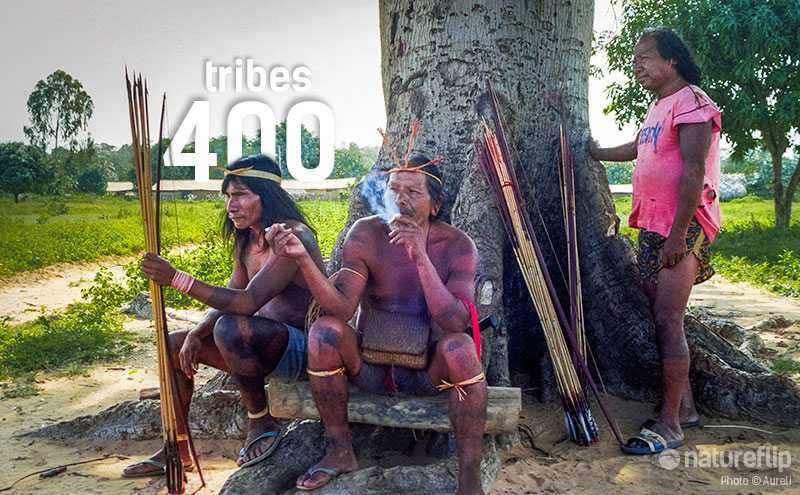 Amazon's 400 Tribes
