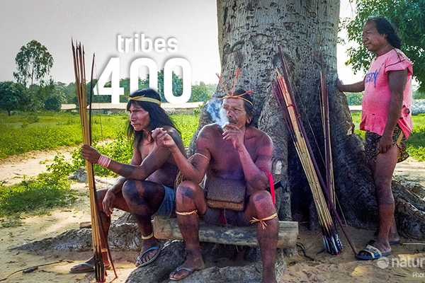 Amazon's 400 Tribes