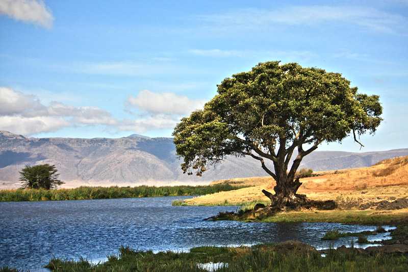 ngorongoro-crater-conservation-area-ngorongoro-crater-typical-early-morning-landscape