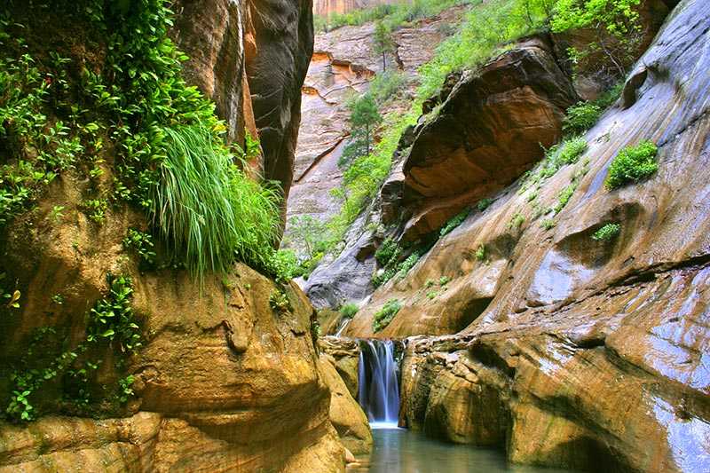 zion-national-park-orderville-canyon-is-one-of-the-most-popular-places-for-abseiling-and