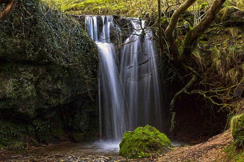 lathkill-dale-cascade-of-water-through-tree-roots-by-the-tufa-dam-on-the-lathkill-river-lathkill
