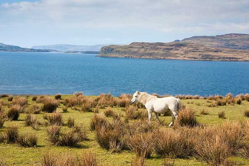Loch Na Keal