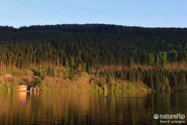 Sailing on Titisee in Black Forest