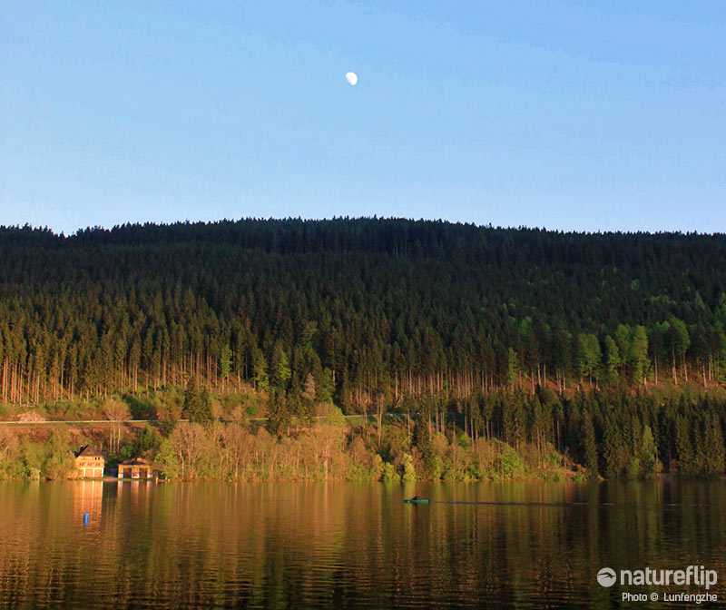 Sailing on Titisee in Black Forest