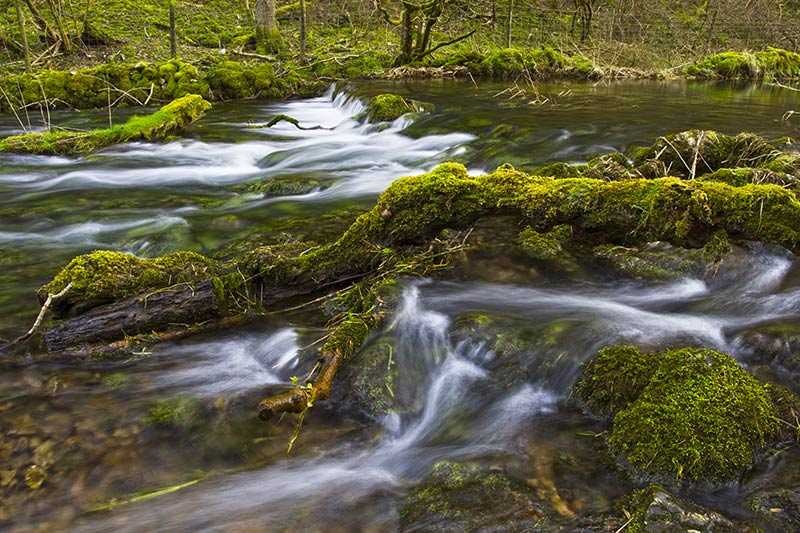 lathkill-dale-lathkill-river-strewn-with-mossy-boulders-and-branches-lathkill-dale-in-the-derbyshire