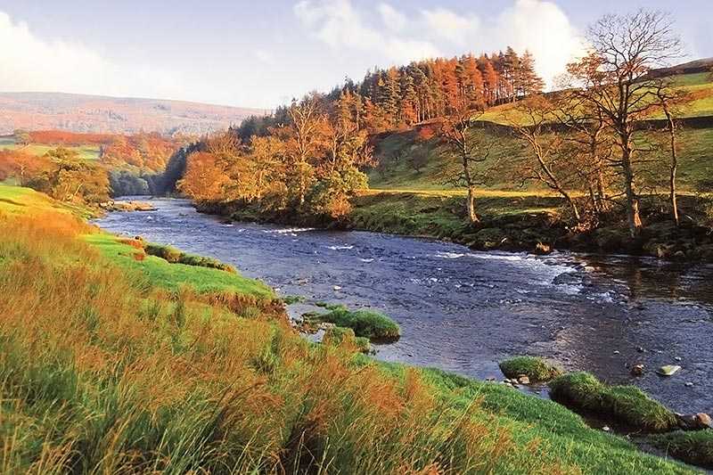 yorkshire-dales-national-park-river-warfe-in-wharfedale