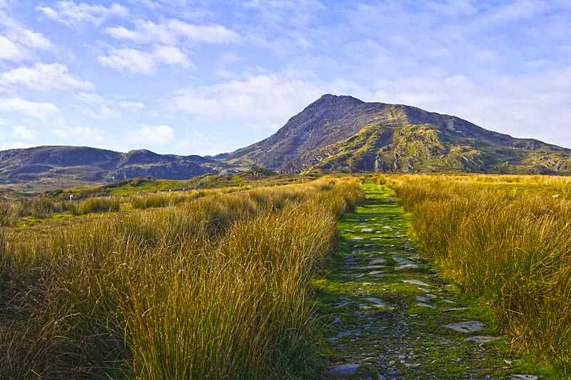 moel-hebog-the-leading-to-the-mountain-moel-siabod-in-snowdonia-national-park-wales