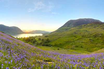 Lake Buttermere | Natureflip