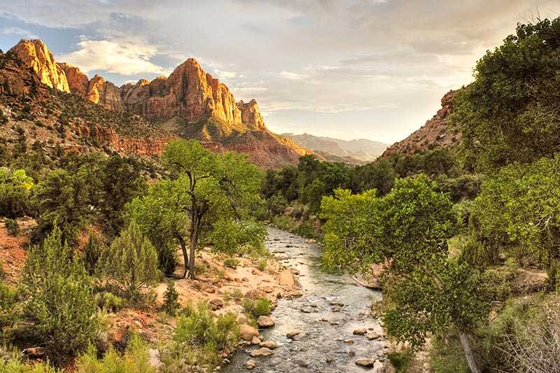 zion-national-park-the-virgin-river-flows-in-to-the-distance-leading-the-eye-to-the-distant-mountain
