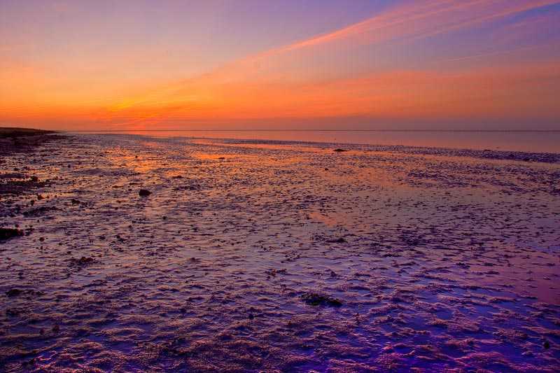 wadden-sea-in-netherlands-wadden-sea-is-protected-since-1978-by-the-cooperation-of-netherlands