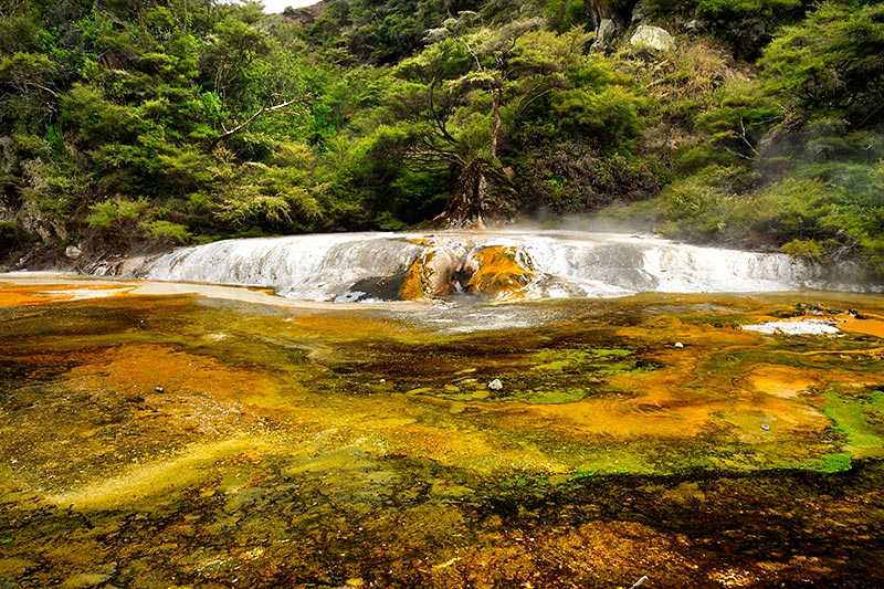 waimangu-volcanic-rift-valley-warbrick-terrace