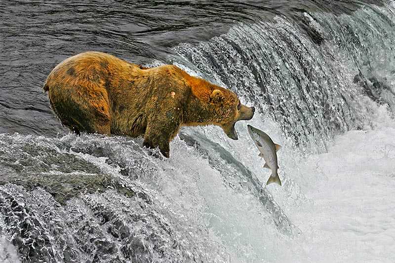 katmai-national-park-and-preserve-one-of-the-most-spectacular-sights-in-katmai-national-park-a